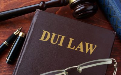 Drunk in public can i beat a dui without a lawyer