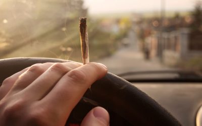 driver smoking marijuana