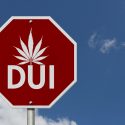 dui stop sign with marijuana leaf